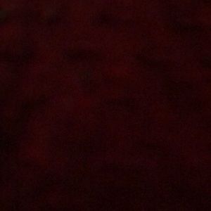 Meet your Posher, Nathan